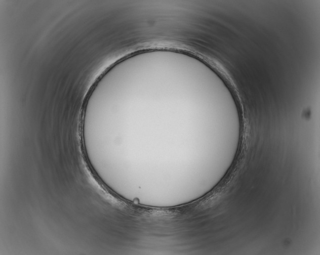 X0000116130847200912211713