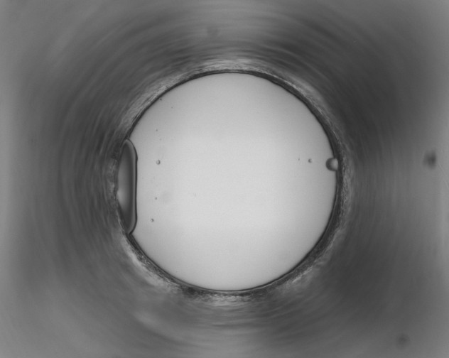 X0000116130849200912211713
