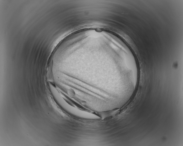 X0000116130850200912211713