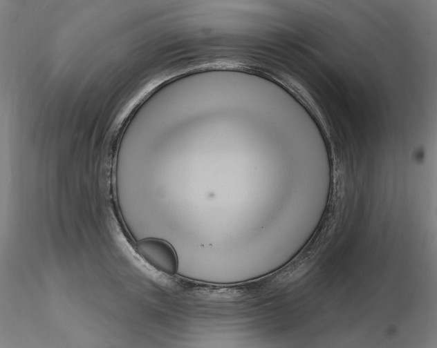 X0000116130851200912211713
