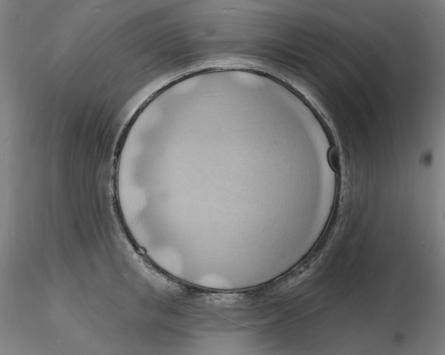X0000116130853200912211713