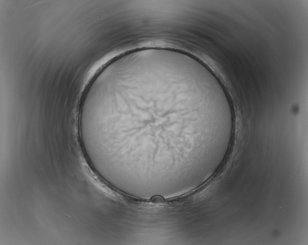 X0000116130854200912211714