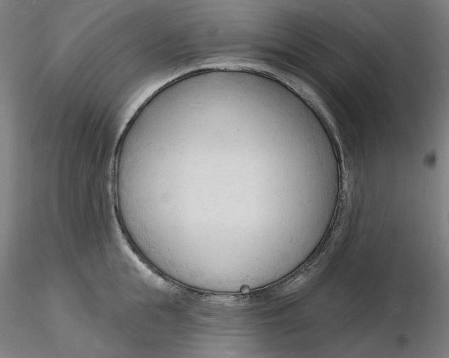 X0000116130855200912211714