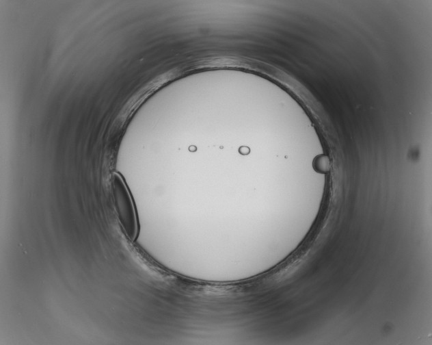 X0000116130857200912211714