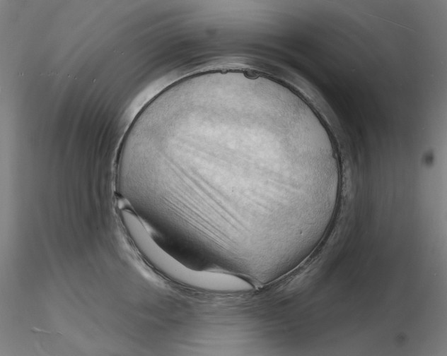 X0000116130858200912211714
