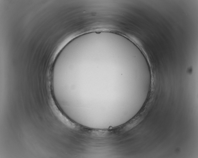 X0000116130859200912211714