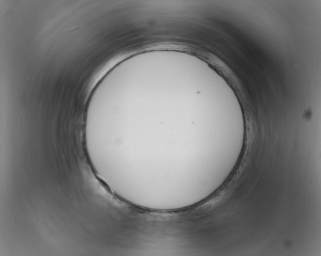 X0000116130860200912211714