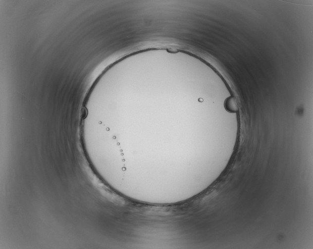 X0000116130861200912211714