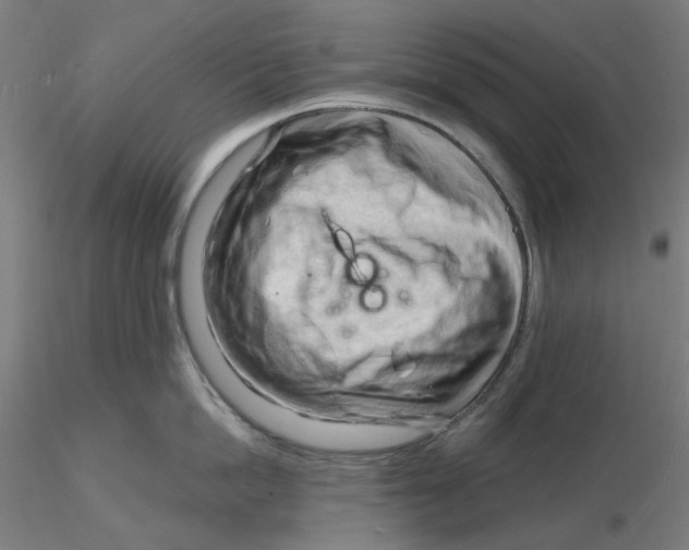 X0000116130862200912211714