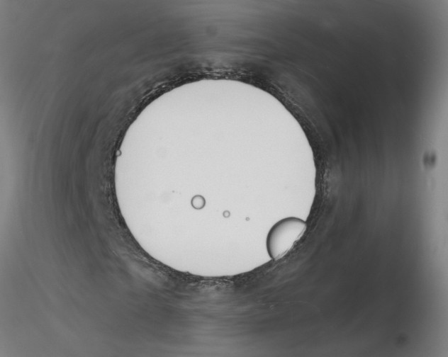 X0000116130865200912211713