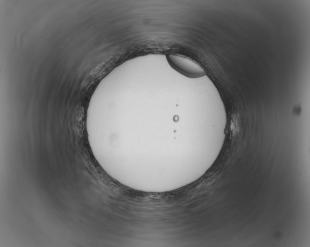 X0000116130867200912211713