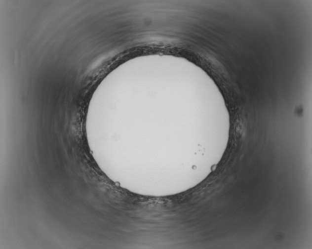 X0000116130869200912211713