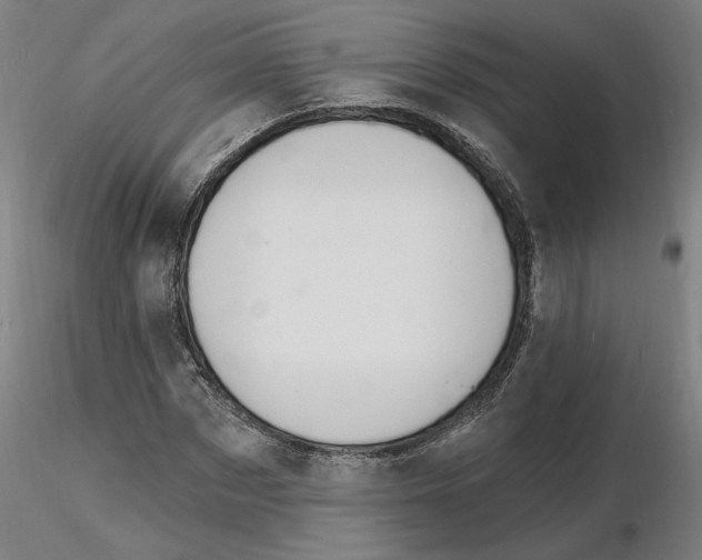 X0000116130873200912211713
