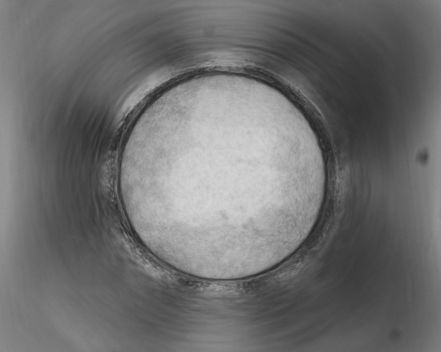 X0000116130874200912211713