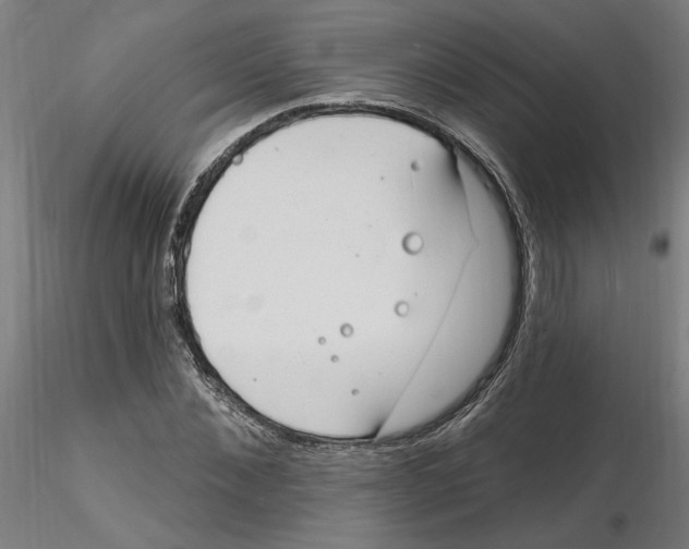 X0000116130876200912211713