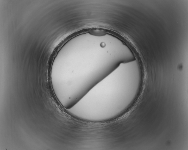 X0000116130877200912211713