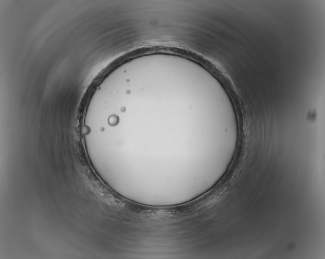 X0000116130879200912211713