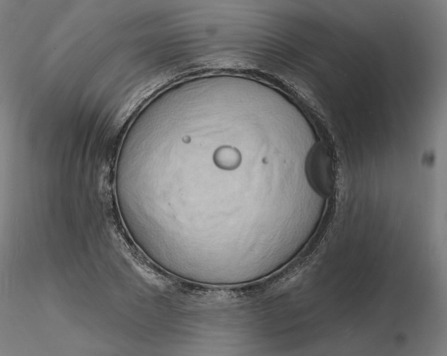 X0000116130881200912211713