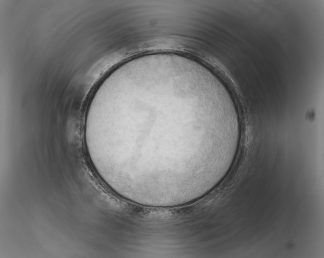 X0000116130882200912211713