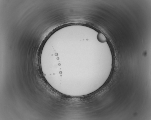 X0000116130883200912211713