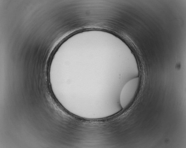 X0000116130884200912211713