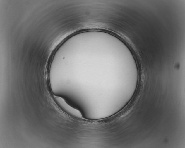 X0000116130885200912211713