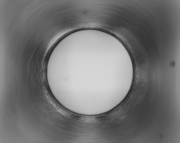 X0000116130886200912211713