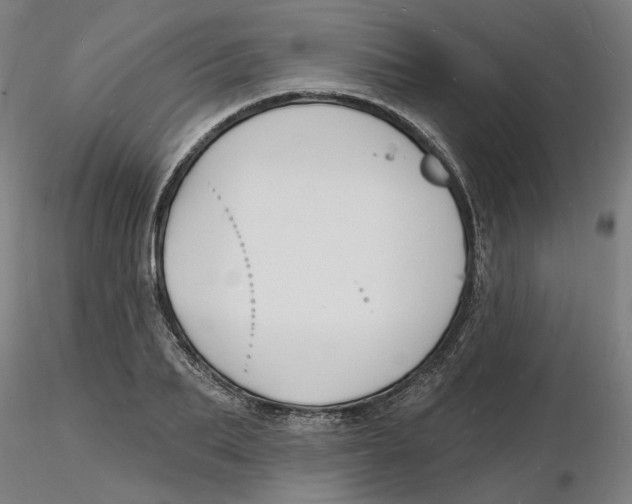 X0000116130887200912211713