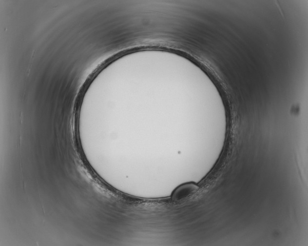X0000116130888200912211713