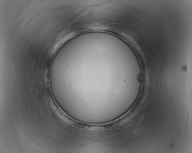 X0000116130889200912211713