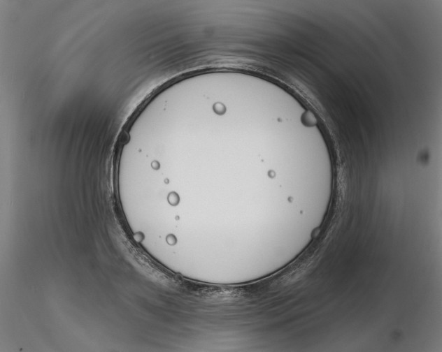 X0000116130891200912211713