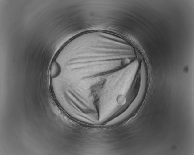 X0000116130892200912211713