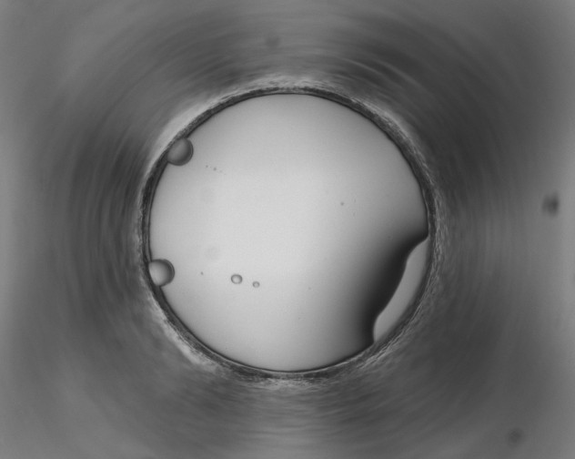 X0000116130894200912211713