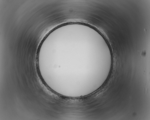 X0000116130895200912211713