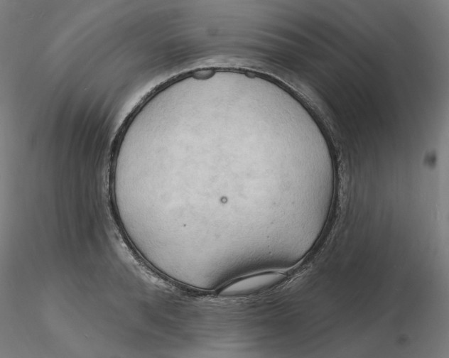 X0000116130896200912211713