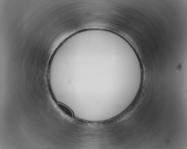 X0000116130901200912211712