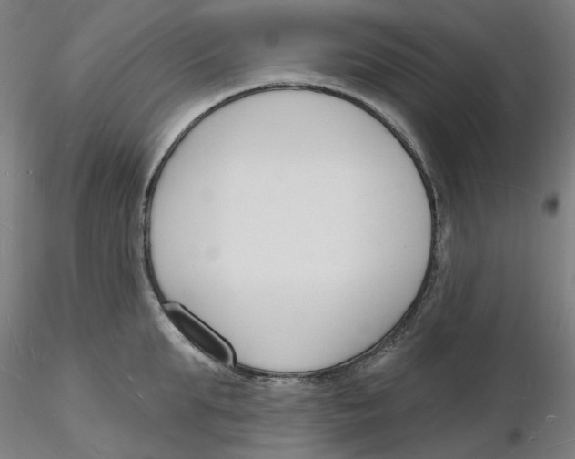 X0000116130903200912211712