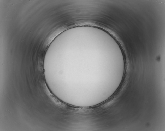 X0000116130905200912211712