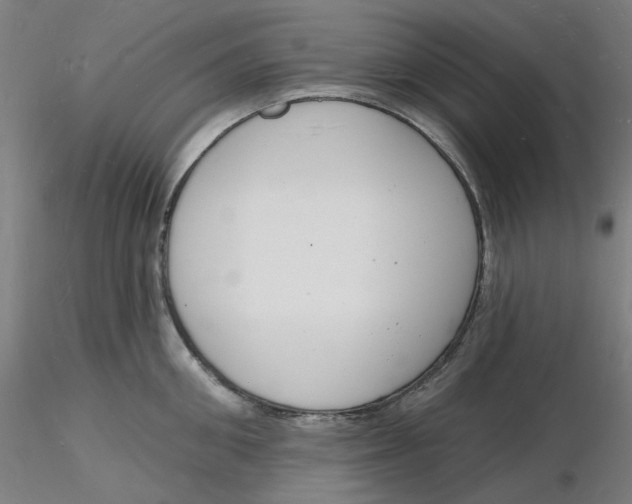 X0000116130906200912211712