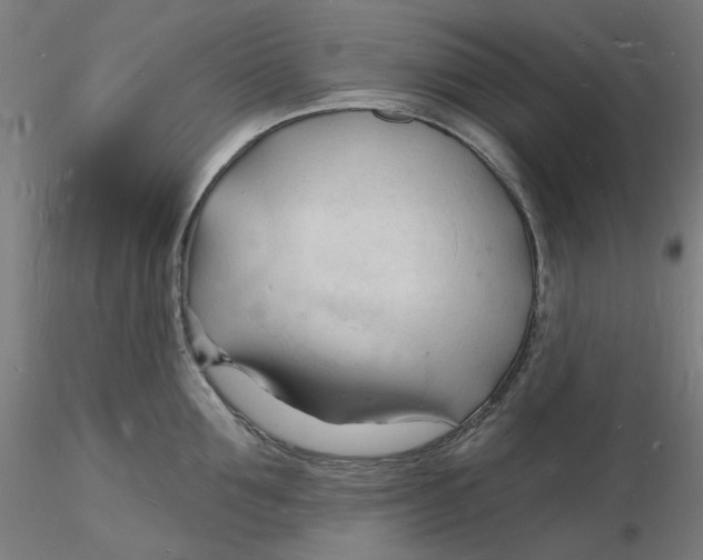 X0000116130907200912211712