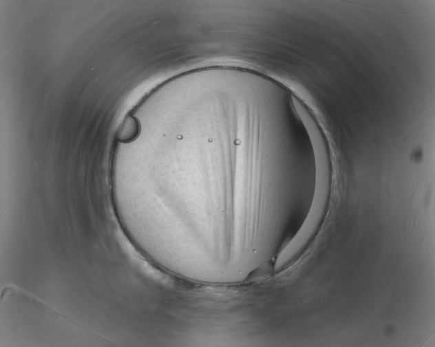 X0000116130910200912211712
