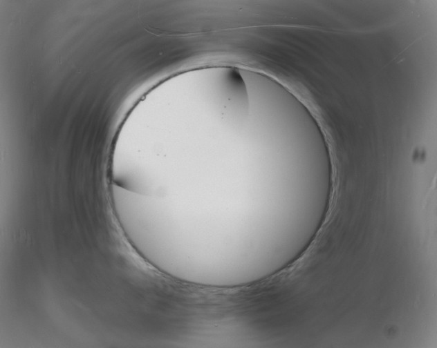 X0000116130912200912211712