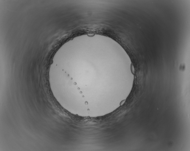 X0000116130913200912211712