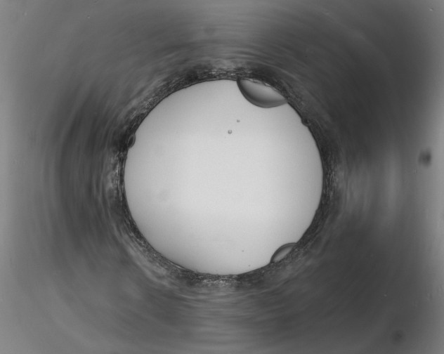 X0000116130914200912211712
