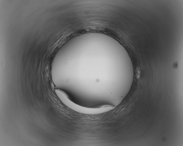 X0000116130915200912211712