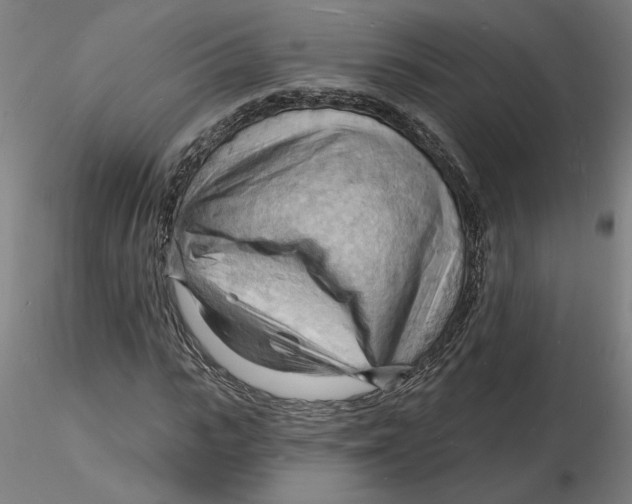 X0000116130919200912211712