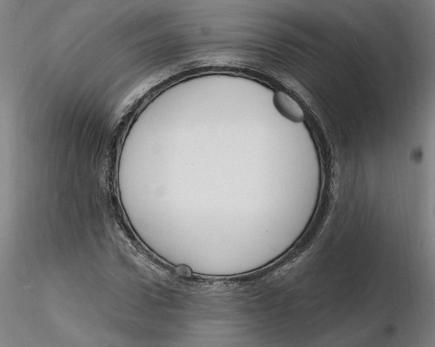 X0000116130922200912211712