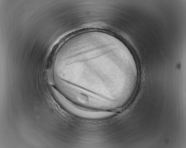 X0000116130923200912211712
