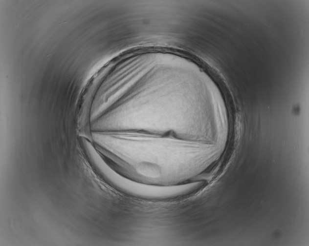 X0000116130925200912211712