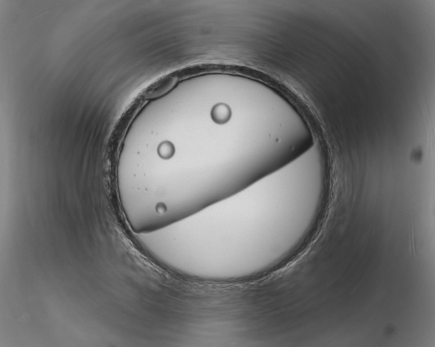 X0000116130926200912211712
